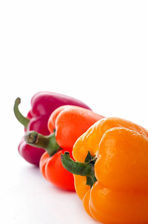 قیمت عمده فلفل دلمه ای تازه